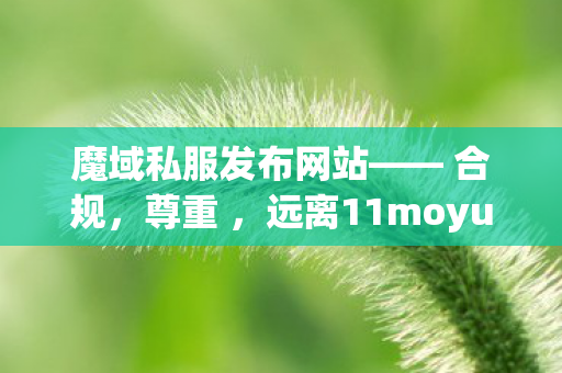 魔域私服发布网站—— 合规，尊重 ，远离11moyusifu