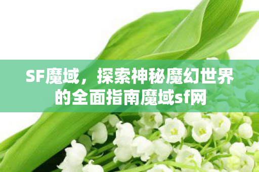 SF魔域，探索神秘魔幻世界的全面指南魔域sf网