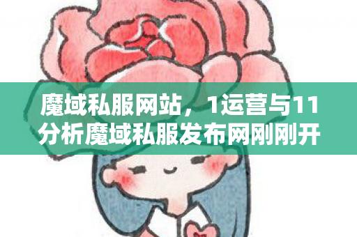 魔域私服网站，1运营与11分析魔域私服发布网刚刚开一秒
