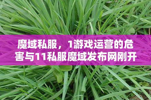 魔域私服，1游戏运营的危害与11私服魔域发布网刚开一秒