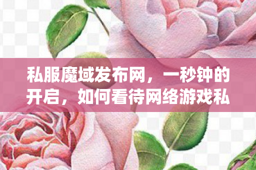 私服魔域发布网，一秒钟的开启，如何看待网络游戏私服行为？moyu私服