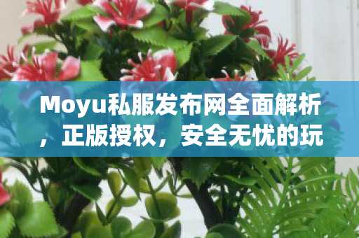 Moyu私服发布网全面解析，正版授权，安全无忧的玩家首选平台魔域私服发布