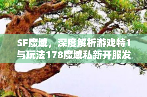SF魔域，深度解析游戏特1与玩法178魔域私新开服发布网
