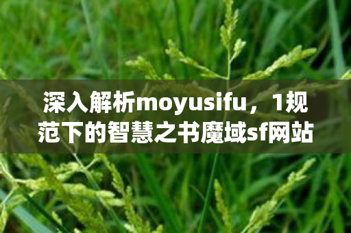 深入解析moyusifu，1规范下的智慧之书魔域sf网站
