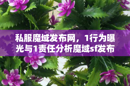 私服魔域发布网，1行为曝光与1责任分析魔域sf发布网
