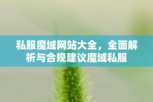 私服魔域网站大全，全面解析与合规建议魔域私服