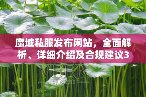魔域私服发布网站，全面解析、详细介绍及合规建议350001魔域sf发布网站