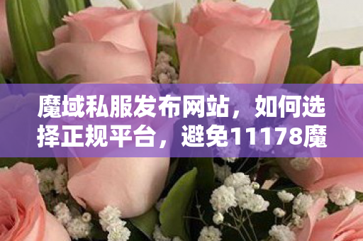 魔域私服发布网站，如何选择正规平台，避免11178魔域私新开服发布网