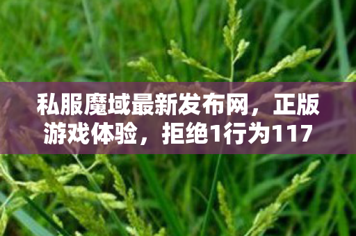 私服魔域最新发布网，正版游戏体验，拒绝1行为117私服魔域发布网