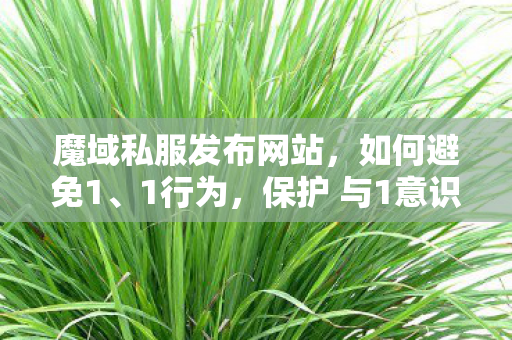 魔域私服发布网站，如何避免1、1行为，保护 与1意识魔域sf