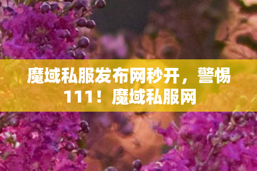 魔域私服发布网秒开，警惕111！魔域私服网