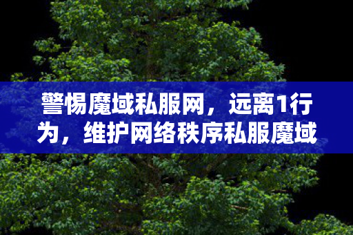 警惕魔域私服网，远离1行为，维护网络秩序私服魔域发布网