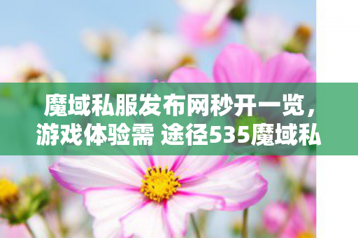 魔域私服发布网秒开一览，游戏体验需 途径535魔域私新开服发布网