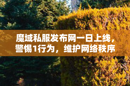 魔域私服发布网一日上线，警惕1行为，维护网络秩序魔域私服网