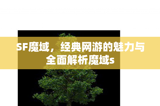 SF魔域，经典网游的魅力与全面解析魔域s