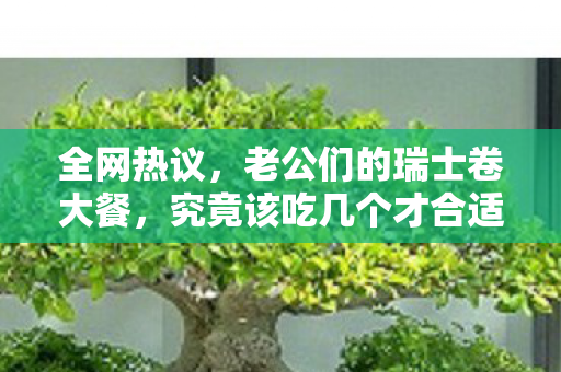 全网热议，老公们的瑞士卷大餐，究竟该吃几个才合适？