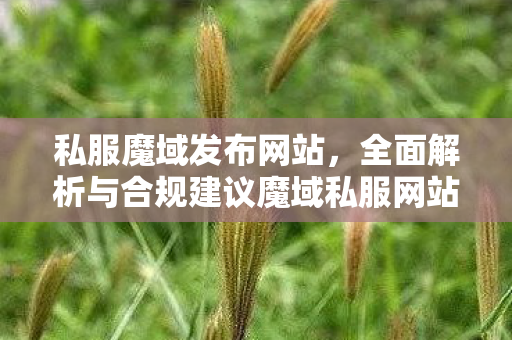 私服魔域发布网站，全面解析与合规建议魔域私服网站