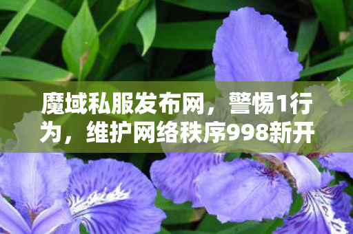 魔域私服发布网，警惕1行为，维护网络秩序998新开魔域私服
