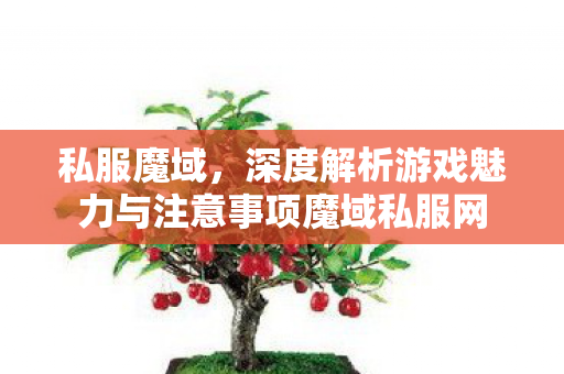 私服魔域，深度解析游戏魅力与注意事项魔域私服网