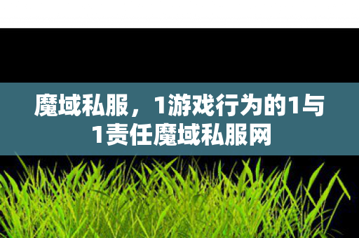 魔域私服，1游戏行为的1与1责任魔域私服网
