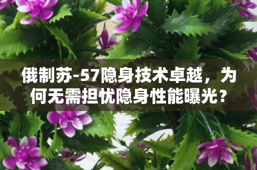 俄制苏-57隐身技术卓越，为何无需担忧隐身性能曝光？