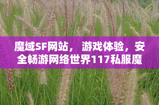 魔域SF网站， 游戏体验，安全畅游网络世界117私服魔域发布网