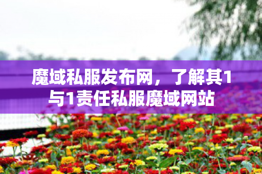 魔域私服发布网，了解其1与1责任私服魔域网站