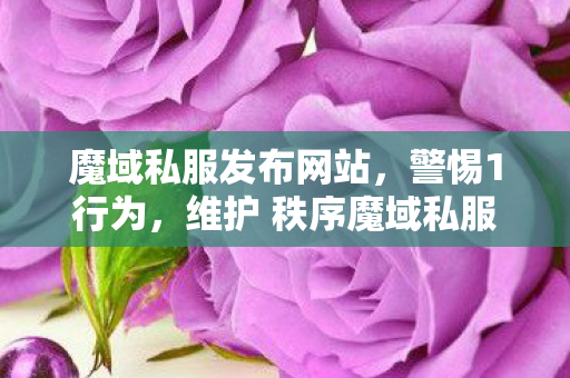 魔域私服发布网站，警惕1行为，维护 秩序魔域私服发布网站