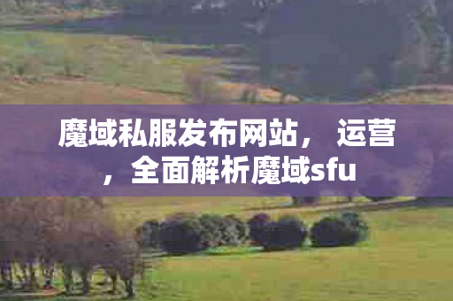 魔域私服发布网站， 运营，全面解析魔域sfu