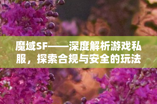 魔域SF——深度解析游戏私服，探索合规与安全的玩法新开魔域私服网站