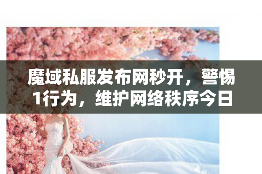 魔域私服发布网秒开，警惕1行为，维护网络秩序今日新开魔域私服网站