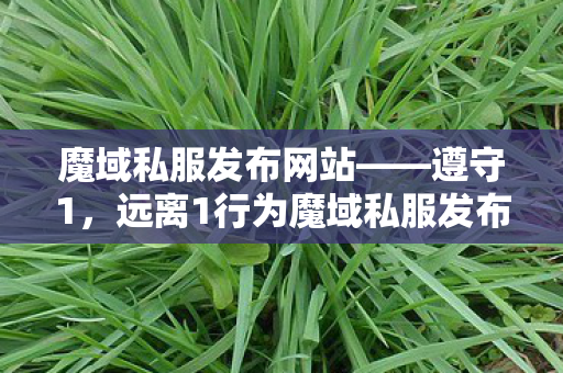 魔域私服发布网站——遵守1，远离1行为魔域私服发布网站
