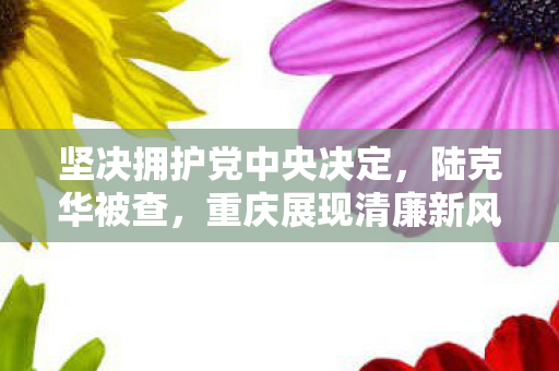 坚决拥护党中央决定，陆克华被查，重庆展现清廉新风貌