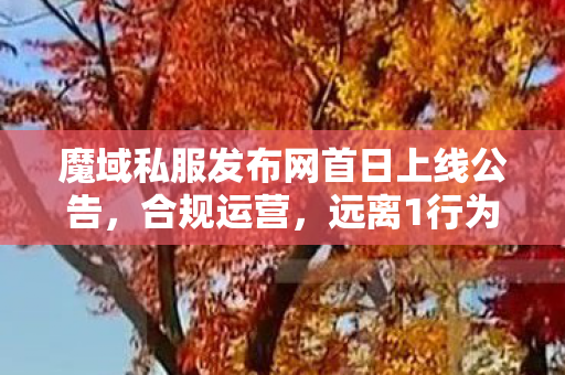 魔域私服发布网首日上线公告，合规运营，远离1行为魔域私服发布网