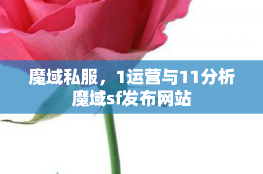 魔域私服，1运营与11分析魔域sf发布网站