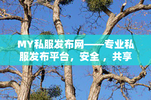 MY私服发布网——专业私服发布平台，安全 ，共享游戏乐趣魔域私服发布网