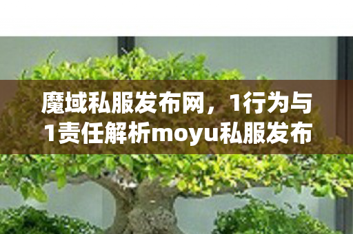 魔域私服发布网，1行为与1责任解析moyu私服发布网