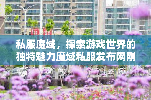 私服魔域，探索游戏世界的独特魅力魔域私服发布网刚刚开一天