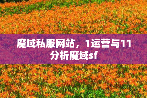 魔域私服网站，1运营与11分析魔域sf