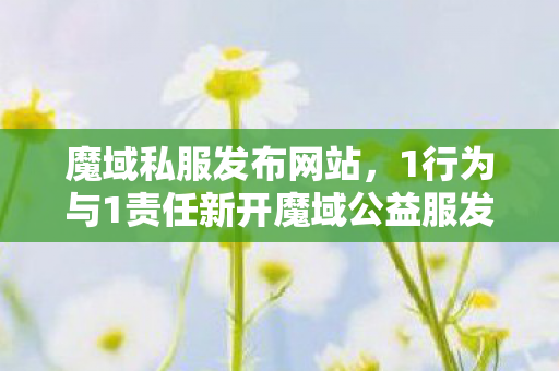 魔域私服发布网站，1行为与1责任新开魔域公益服发布网