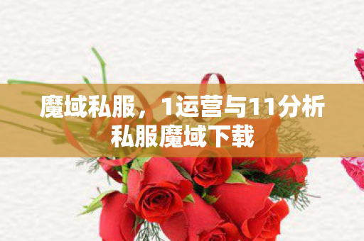 魔域私服，1运营与11分析私服魔域下载