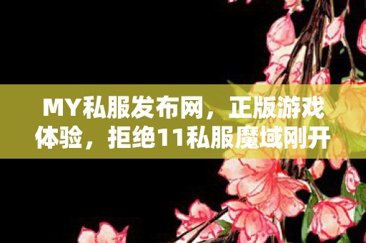 MY私服发布网，正版游戏体验，拒绝11私服魔域刚开一秒