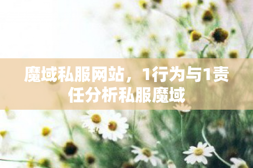 魔域私服网站，1行为与1责任分析私服魔域