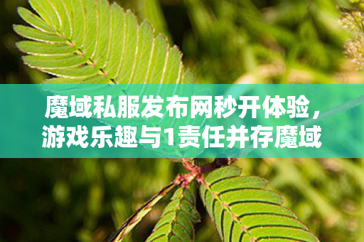 魔域私服发布网秒开体验，游戏乐趣与1责任并存魔域私服没有了吗