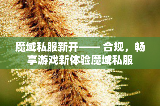 魔域私服新开—— 合规，畅享游戏新体验魔域私服