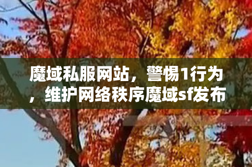 魔域私服网站，警惕1行为，维护网络秩序魔域sf发布网