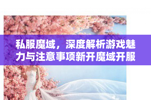 私服魔域，深度解析游戏魅力与注意事项新开魔域开服表