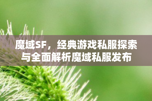 魔域SF，经典游戏私服探索与全面解析魔域私服发布