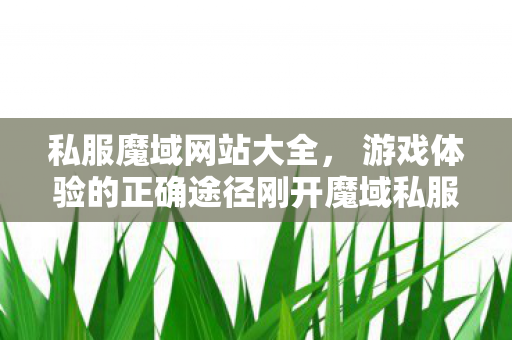 私服魔域网站大全， 游戏体验的正确途径刚开魔域私服