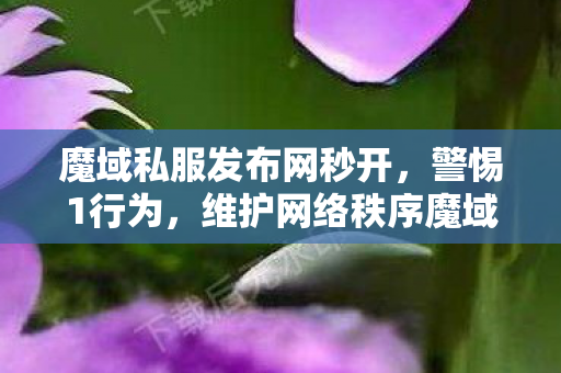 魔域私服发布网秒开，警惕1行为，维护网络秩序魔域发布网